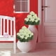 thumbnail image 1 of Hortensias artificiales, decoraciones para interiores y exteriores, geranio y begonia artificiales, 1 of 6