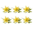 thumbnail image 1 of QualitChoice 6Pcs Artificial Lilys Flower Simulation Long Lasting Washable Portable Decorative Household Fake Plant Flowers Yellow 1 Pc, 1 of 6