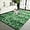 Emerald Green, variant on YJ.GWL 4x6ft Tie Dye Shag Area Rug For Living Room Bedroom,Shaggy Carpet For Home Decor,Emerald Green