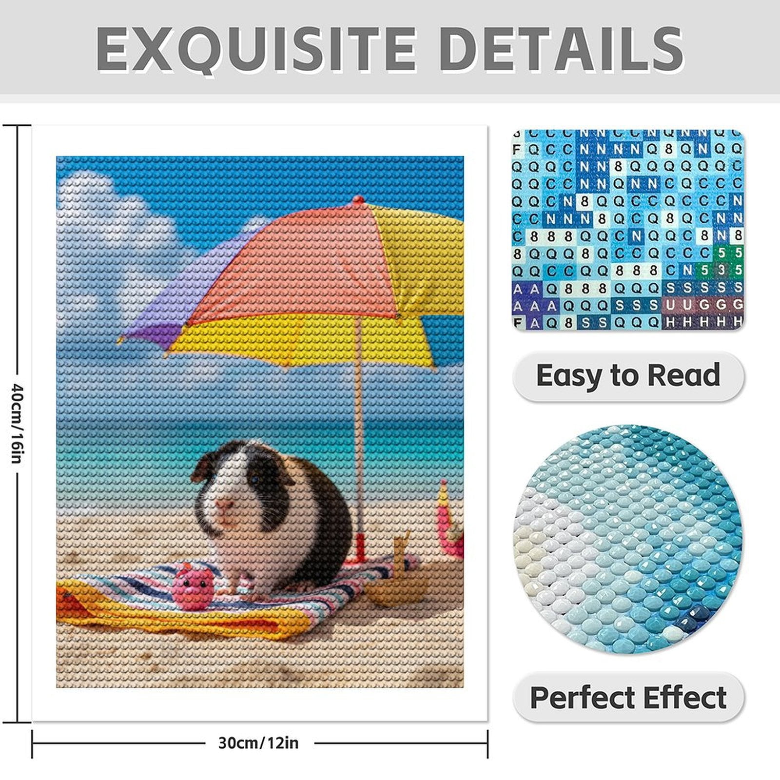Diamond Art Kit for Adults, Beach Picnic Guinea Pig Relaxing Diamond Painting for Adults Beginners, DIY Diamond Art Painting Kits, 5D Diamond Painting Crafts for Home Decor 12x16 Frameless