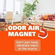 Gonzo Natural Magic Natural Magic Air Purifying Gel, Odor Eliminator For Cars, Closets, Bathrooms And Pet Areas, Captures And Eliminates Odors 14 Ounce - Citric Scent