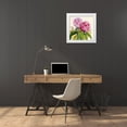 thumbnail image 3 of Hooker, Joseph Dalton 15x15 White Modern Wood Framed Museum Art Print Titled - Rhododendron Campbelliae Flower, 3 of 4