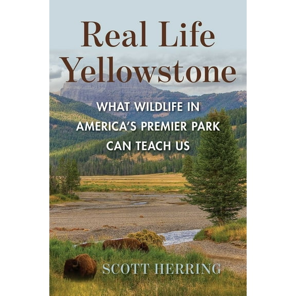 Real Life Yellowstone, (Paperback)