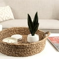 thumbnail image 4 of Kotera Snake Plant in Ceramic Pot, 4 of 8