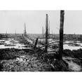 thumbnail image 2 of World War 1. No Man'S Land - Once A Forest In 'Flanders'S Fields' After Four Years As A Battleground In World War 1., 2 of 2