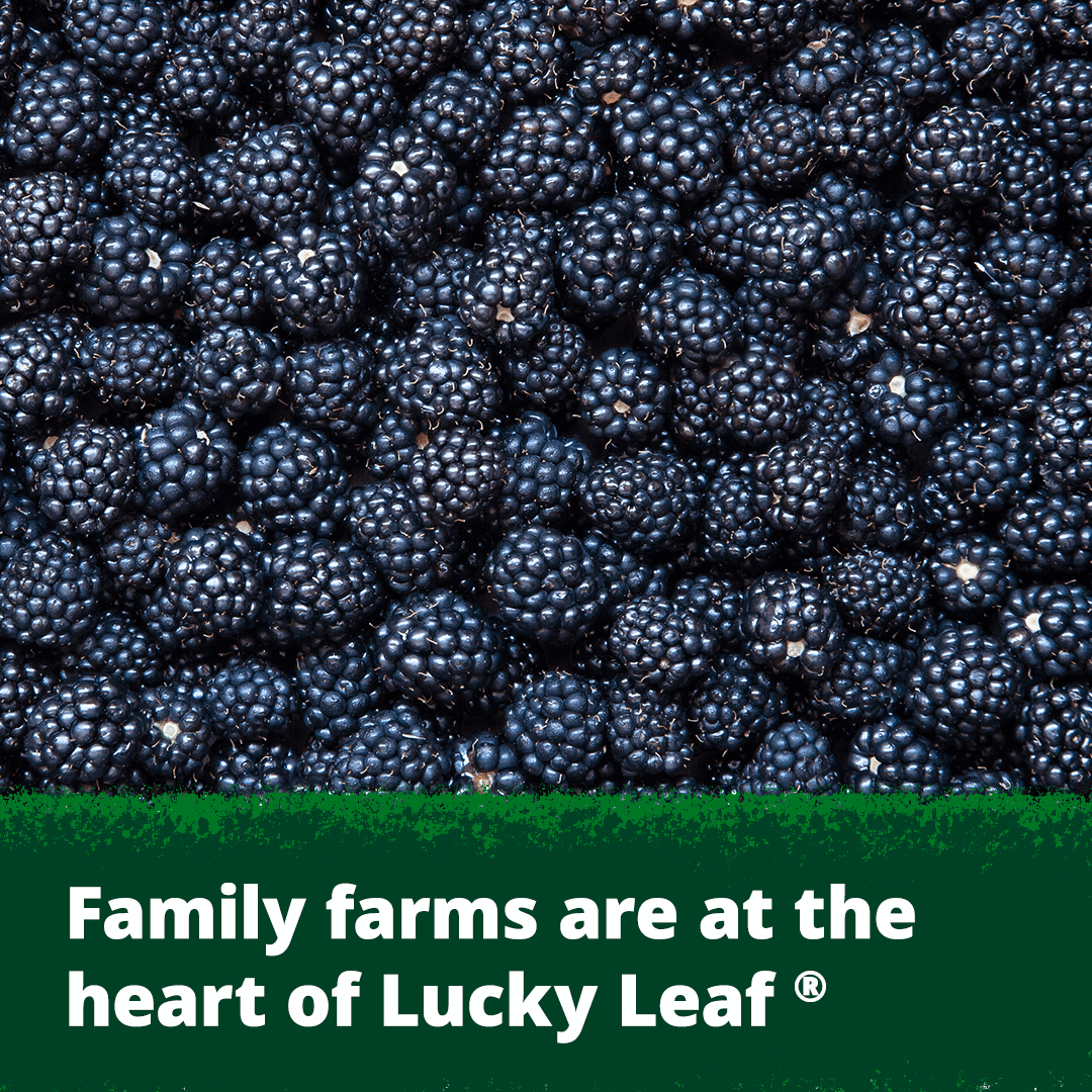 (2 pack) Lucky Leaf Premium Blackberry Fruit Filling & Topping, 21 oz Can