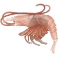 thumbnail image 1 of Figurine d'Action Haute Simulation de Calmar Crevette, Figurine Modèle Animal Océan Décoration de Table de Bureau, 1 of 8