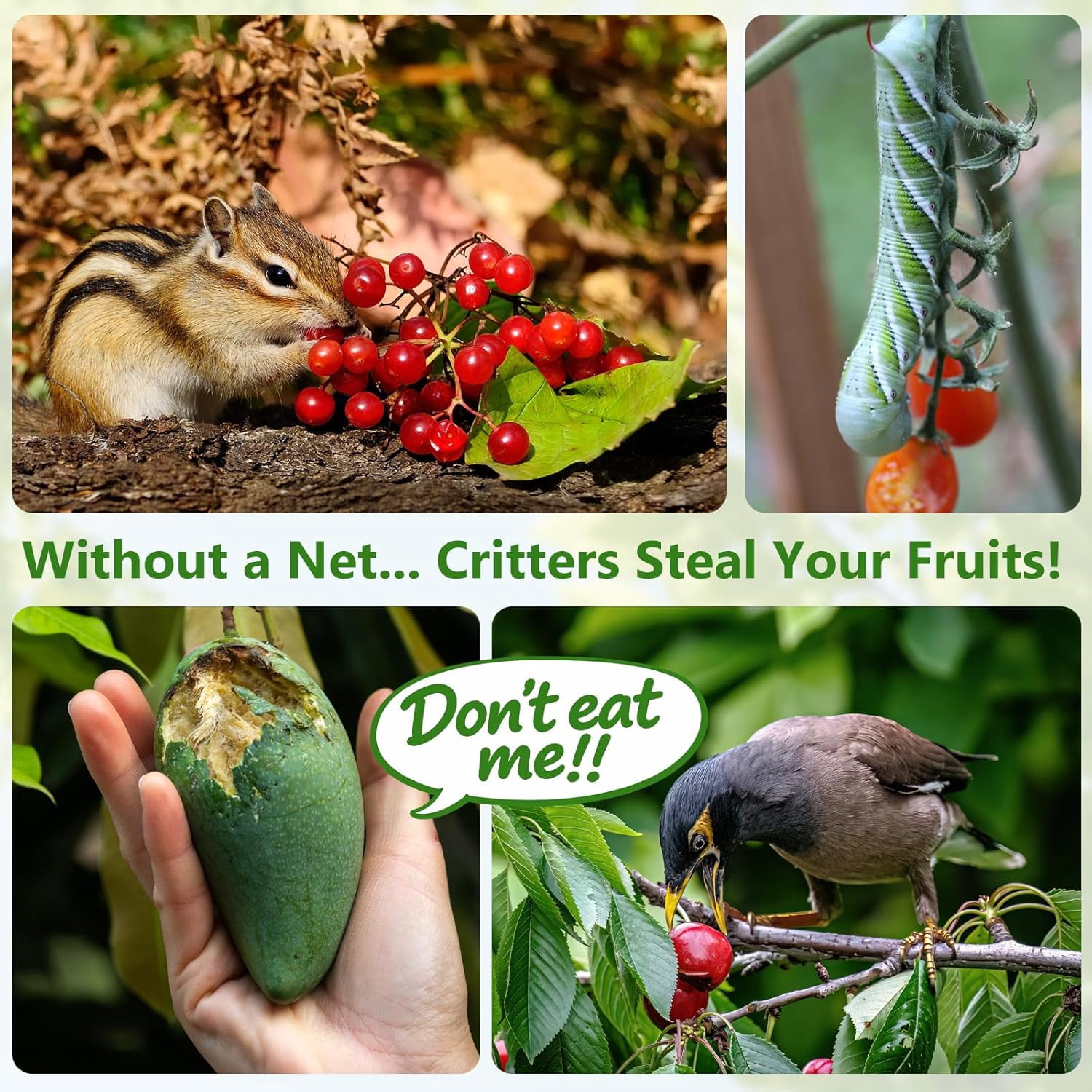 2 Pack 4 x 6ft for Plants, Fruit Tree Netting with Zipper & Drawstring, Bird Netting for Garden Protection, Blueberry Bushes, Tomato Plants & Fruit Trees