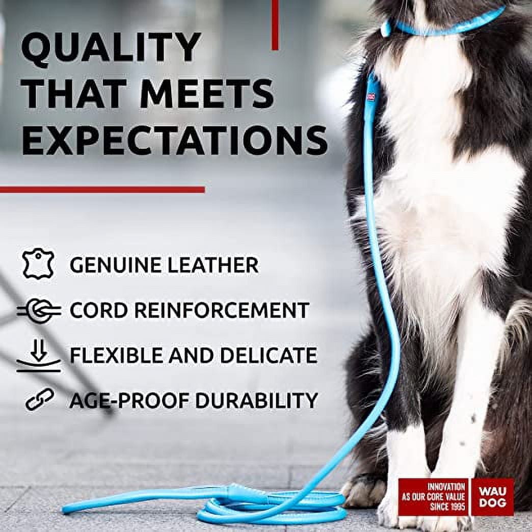 Glamour Rolled Leather Dog Leash for Small Medium and Large Dogs | Heavy Duty Strong Leather Puppy Leash for Outdoor Walking Running Training | Strong Dog Leashes for Large Breed Dogs - Blue