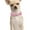 Pink, variant on Adjustable PU Leather Pet Choker Collar for Small Dogs and Puppies Comfortable Training Neck Strap