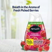 Renuzit Adjustable Solid Gel Air Freshener Cone, Forever Raspberry, Nonstop Freshness, 7 Ounces, 3 Cones