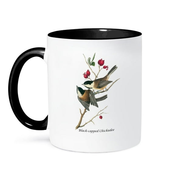 3dRose, Black-capped Chickadee by John James Audubon, 15oz Two-Tone Black Mug