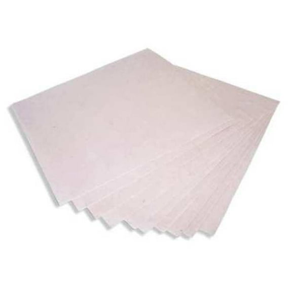 Absorbent Specialty Products Acid Neutralizer Pads, PK10