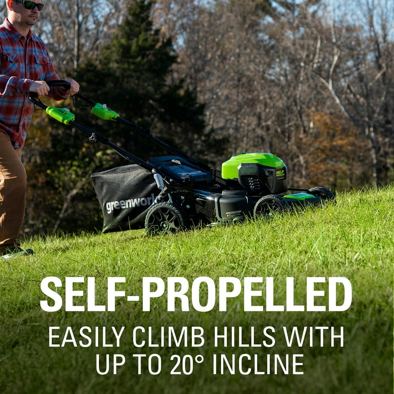 Greenworks 2516402 sale
