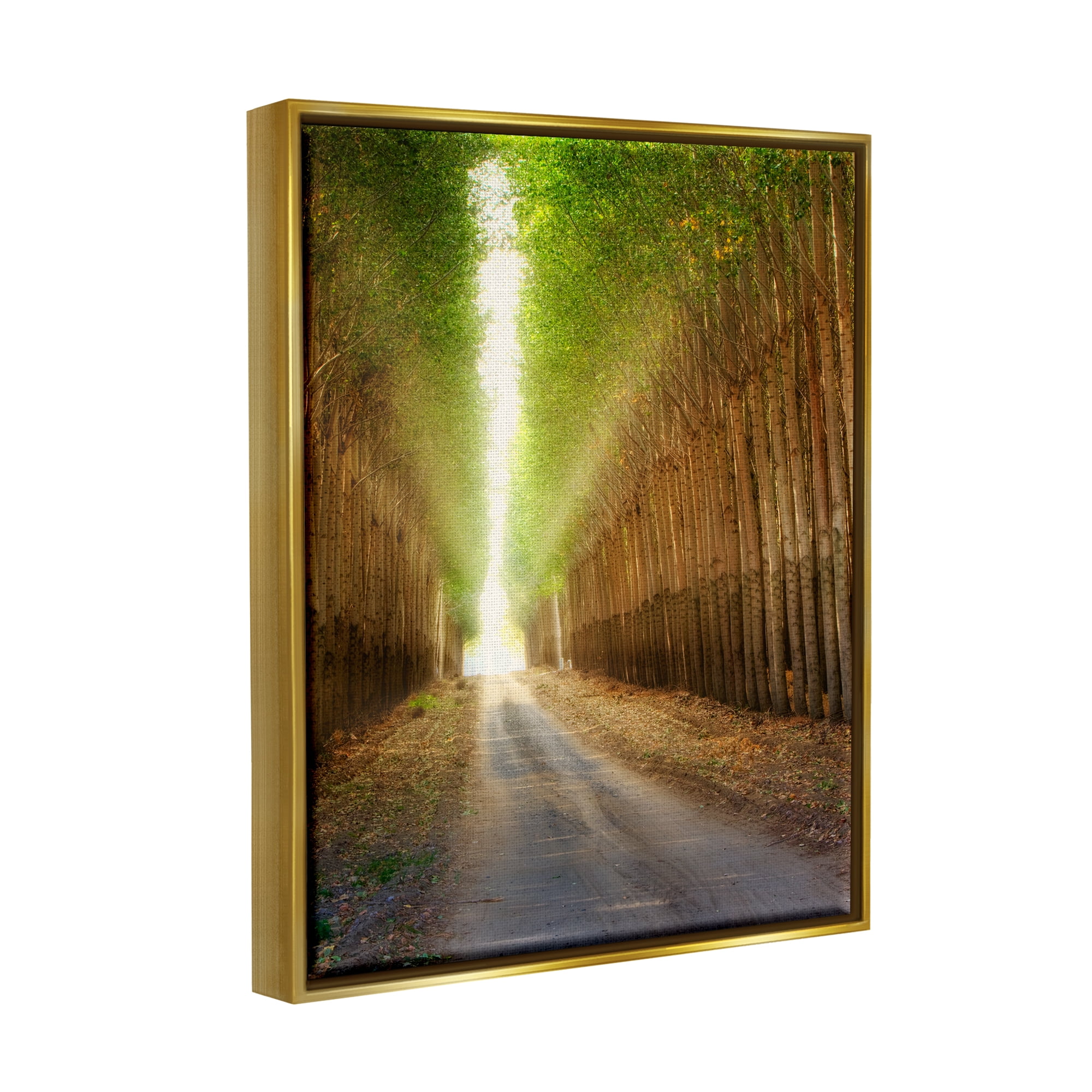 Stupell Industries Sunlit Tree Grove Pathway Landscape Photography Gold Floater Framed Art Print Wall Art
