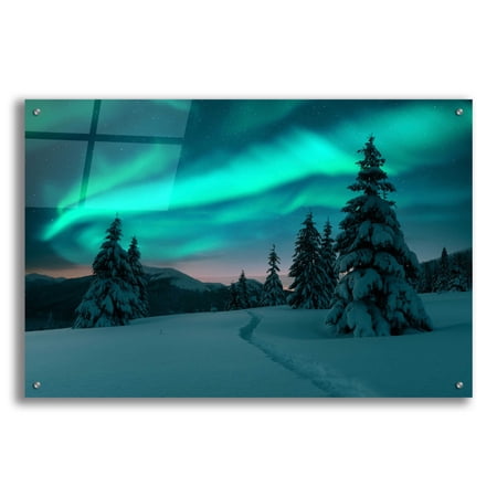 Epic Art 'Northern Lights In Winter Forest 4' by Epic Portfolio, Acrylic Glass Wall Art, 36"x24"