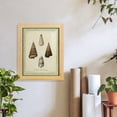 thumbnail image 6 of Bookplate Shells VI - Framed Print w/glass - Natural Wood, 6 of 7