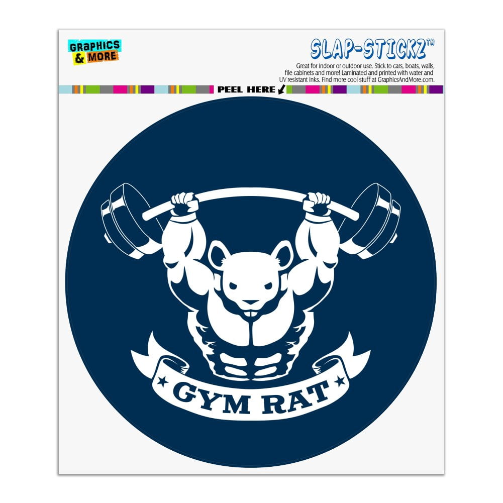 Gym Rat Workout Weight Lifting Automotive Car Window Locker Circle ...