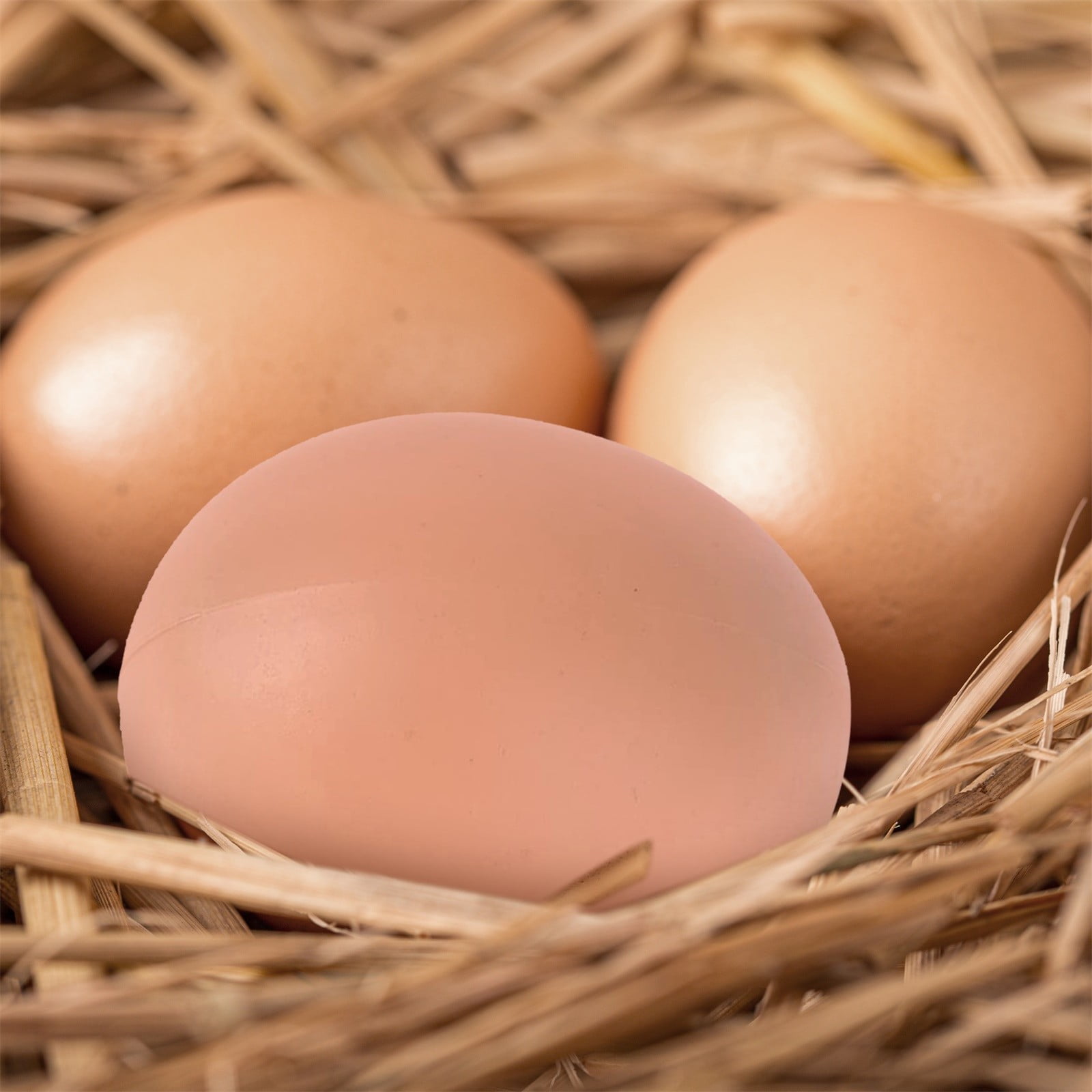 Cadorn 6PCS Plastic Eggs for Poultry Laying Assistance – Hen Nest Training Tools