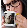 thumbnail image 2 of 3drose, Pet Pot Bellied Pig, Farm Animal, New Mexico - Us32 Jmr0497 - Julien Mcroberts, 11oz Two-tone Yellow Mug, 2 of 6