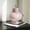 Pink, variant on Nordic Style Simple Round Belly Glass Vase Modern Home Decor Floral Container For Living Room Fresh Flower Arrangement