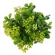 thumbnail image 4 of Decoración de oficina artificial amarillo Gloria Ramo artificial de la fruta de Milano, 4 of 6