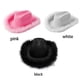 thumbnail image 1 of Cowgirl Hat With Boa Fluffy Brim Adult Size Hat For Bachelorette Costume, 1 of 5