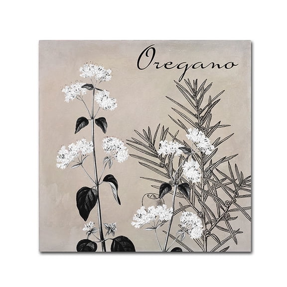 Trademark Fine Art "Flowering Herbs II" Canvas Art by Color Bakery