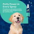thumbnail image 5 of NaturVet Potty Here Training Spray for Dogs, 8 fl oz, 5 of 8