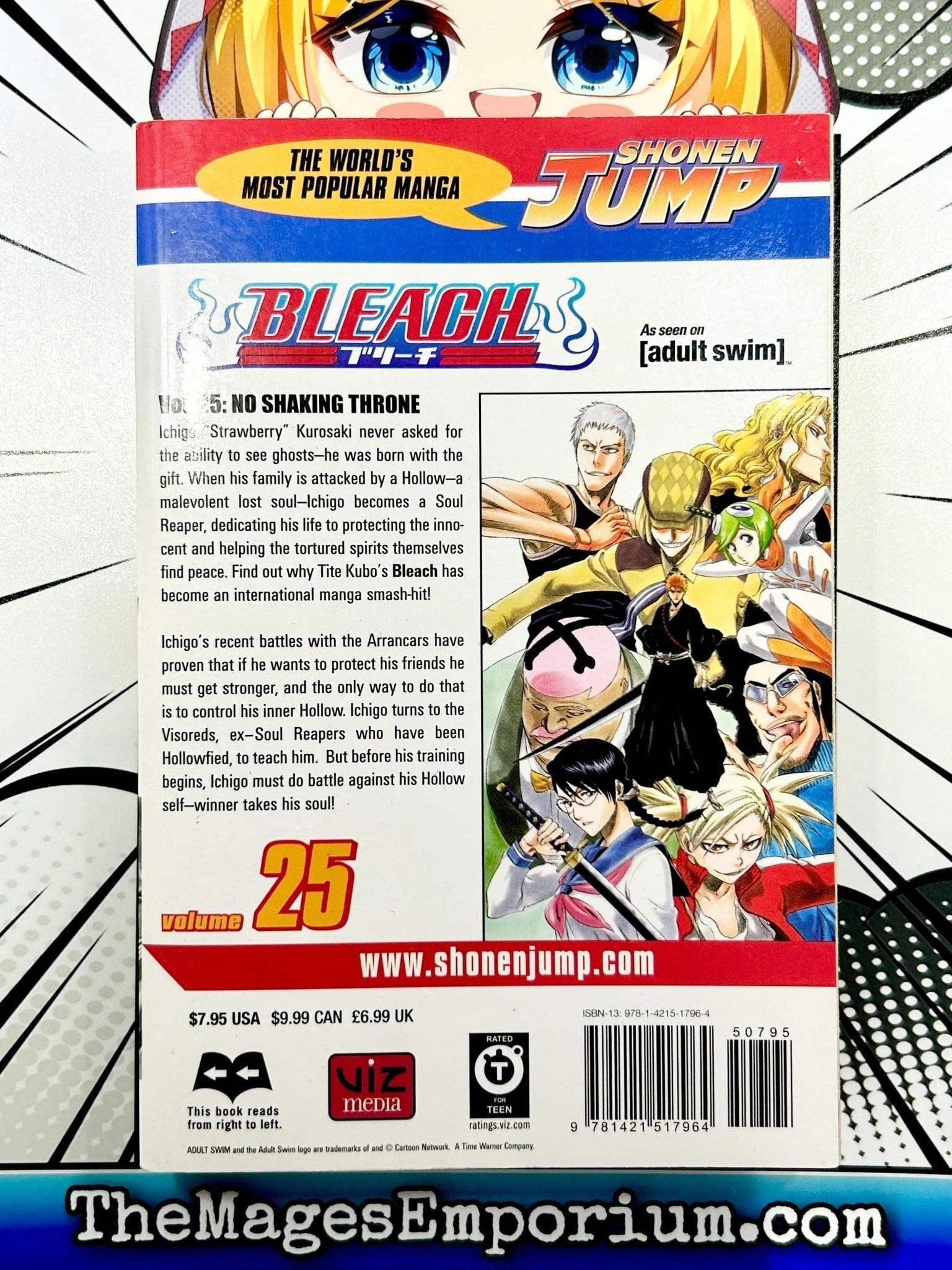 Bleach Bleach, Vol. 25, Book 25, (Paperback) - Walmart.com Bleach Bleach, Vol. 25, Book 25, (Paperback) - Walmart.com