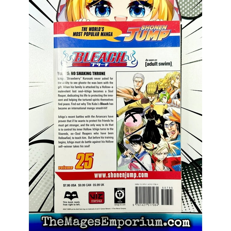 Bleach Bleach, Vol. 25, Book 25, (Paperback) - Walmart.com