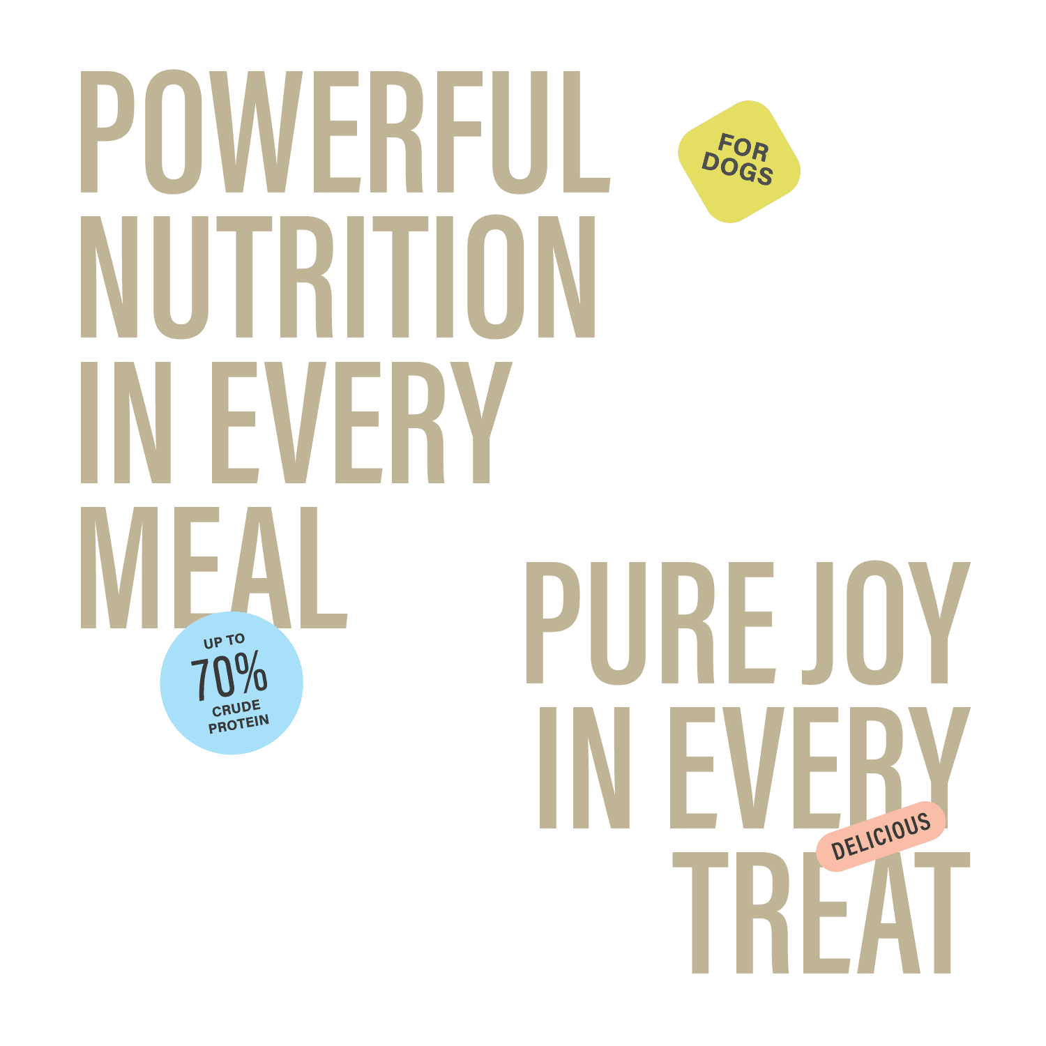 Chewer's Joy Collagen Dog Treats – Single Ingredient Long-Lasting Chews, 5–6" (5CT)