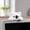 E, variant on Mini Desktop Figurines, Cute Animal Ornaments for Monitor Edge and Desk, Kawaii Plastic Statues for Office and Home Decor, Tiny Collectible Accessories