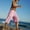 Pink, variant on Shorts for Women TopLLC Womens Shorts Spring And Summer Comfortable Solid Elastic Waist Women Bandage New Fashion Casual Half Shorts Pants Women Pants