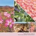 thumbnail image 2 of Yankee Candle Desert Sun Collection - DESERT BLOOMS - Original Medium Perfect Pillar Jar Candle, 2 of 3