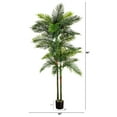 thumbnail image 3 of Nearly Natural Potted Double Robellini Palm Artificial Tree - 8', 3 of 8