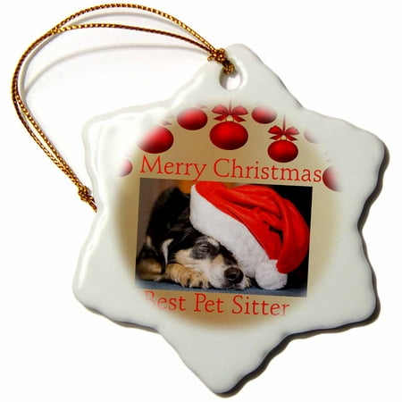 3dRose Image of Merry Christmas Best Pet Sitter With Ornaments - Snowflake Ornament,