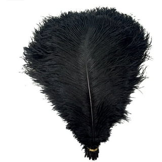 120pcs Black Feathers for Crafts 6-8 inch Natural Goose Feathers for Halloween Party Home DIY Decorations Cosplay Gothic Costumes Accessories