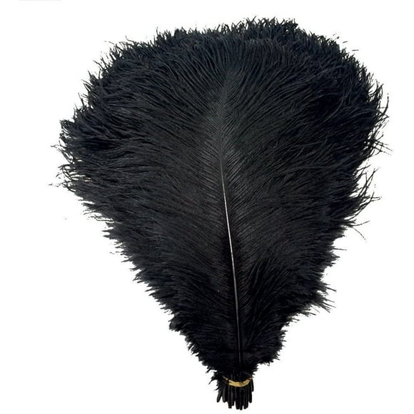 20pcs Ostrich Feathers, 6-7.9 inch 15-20cm Real Natural Ostrich Feathers DIY Craft Feather for Home Party Wedding Decoration Black
