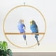 thumbnail image 3 of Columpio para aves, juguete interactivo, área de juego, soporte de entrenamiento, jaula espaciosa, 3 of 8