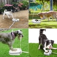thumbnail image 6 of Outdoor Dog Pet Water Fountain Step On Brass Valve Dispenser System Clean Fresh, 6 of 8