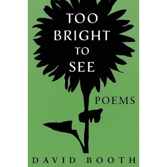 Too Bright to See, (Paperback)