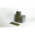 thumbnail image 2 of Gamers Grass	Laser Plants - Monstera New, 2 of 4