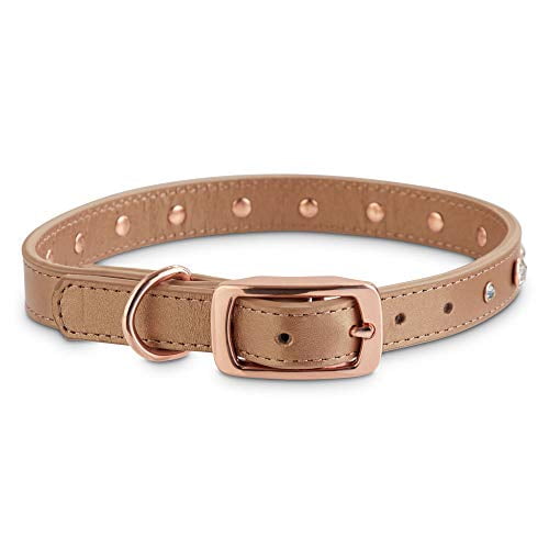 Bond and co leather cheap collar
