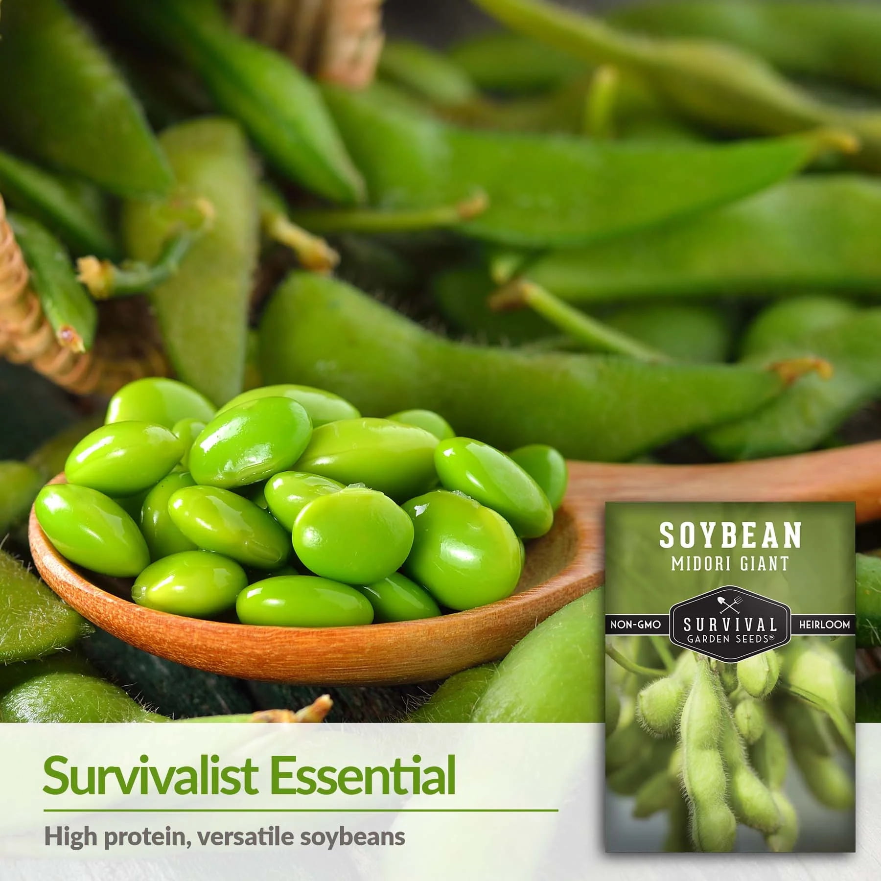 有名な高級ブランド 3 Sun Full Heirloom Non-GMO - Soybean Giant Midori Packs 野菜