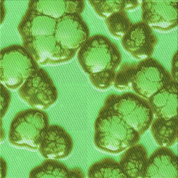 Ahgly Company Indoor Square Patterned Emerald Green Area Rugs, 8' Square