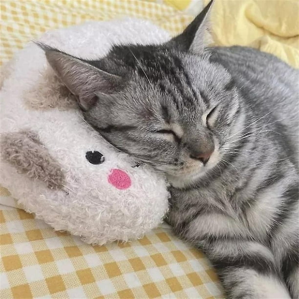 Cozy cat pillow cheap