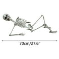 thumbnail image 3 of Clearance！2Pcs Skeleton 27.6" Life Size Full Body Posable Joints Skeletons,Skeleton Prop Human Full Size Skull Hand Life Body Anatomy Model, Decoration Spooky Scene Party Favors, 3 of 9