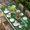 Green White, variant on St. Patrick's Day Table Cloths for 5 Foot Rectangle Tables, Lucky Shamrock Gnomes Gold Coin Spring Green Patio Waterproof Elastic Fitted Tablecloths, Washable Rectangular Table Cover for Camping