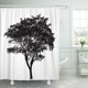 thumbnail image 1 of Cortina de Ducha ABPHQTO Silueta de Árbol del bosque negro Samanea Saman 160x180 cm, 1 of 3
